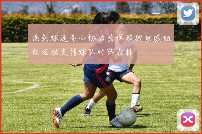 热刺球迷齐心协力为保级战助威组织活动支持球队对阵森林