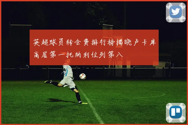 英超球员转会费排行榜揭晓卢卡库高居第一托纳利位列第八