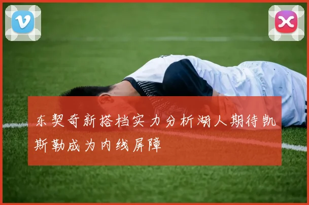 东契奇新搭档实力分析湖人期待凯斯勒成为内线屏障