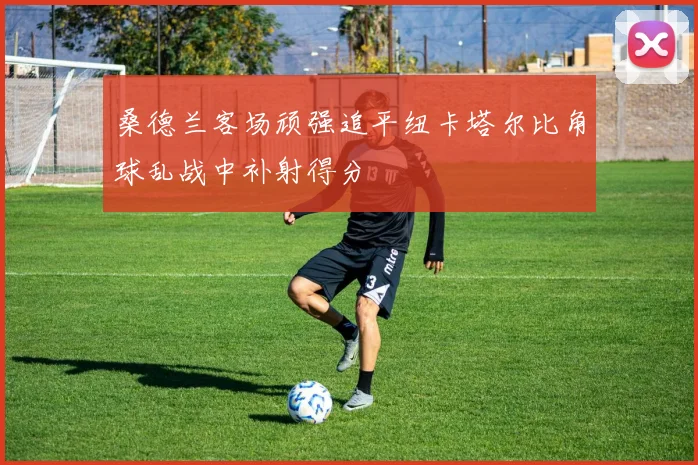 桑德兰客场顽强追平纽卡塔尔比角球乱战中补射得分