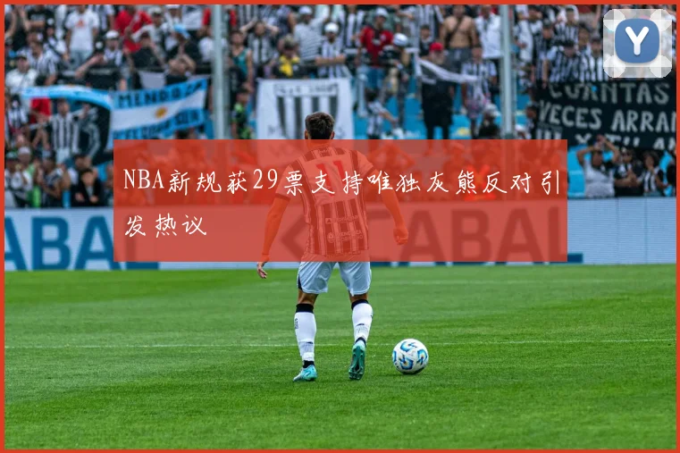 NBA新规获29票支持唯独灰熊反对引发热议